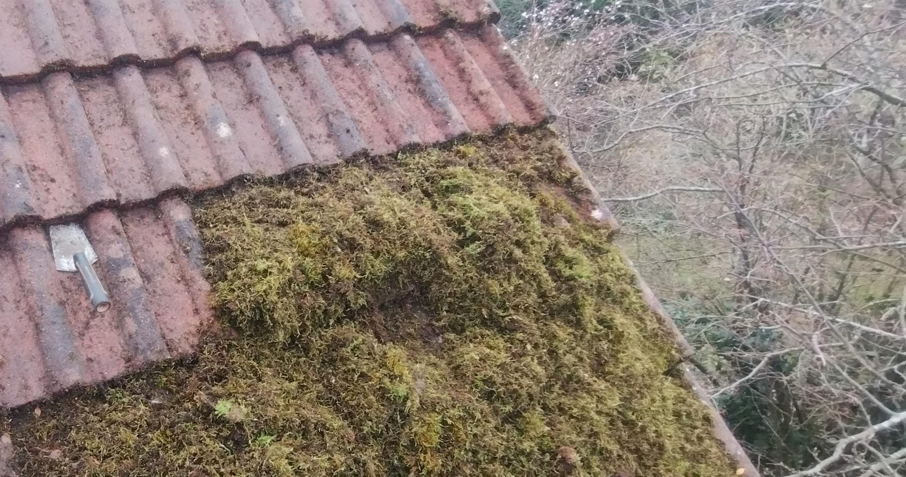 A pantile roof half cleaned by hand — trowel resting on cleared tiles, thick moss still covering the rest